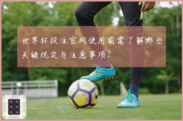世界杯投注官网使用前需了解哪些关键规定与注意事项？